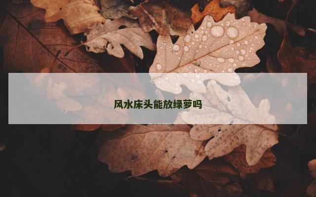 风水床头能放绿萝吗