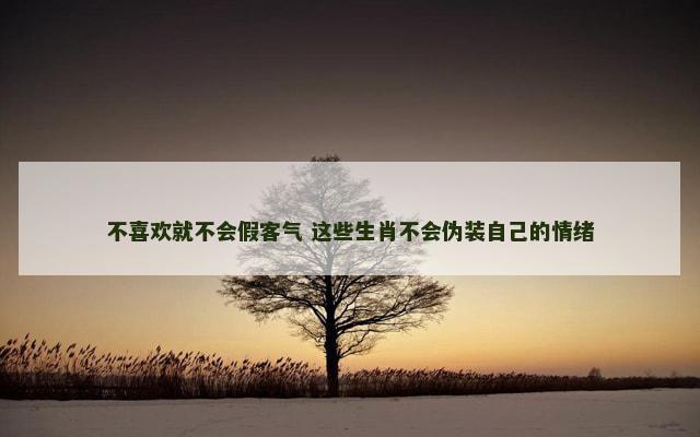 不喜欢就不会假客气 这些生肖不会伪装自己的情绪