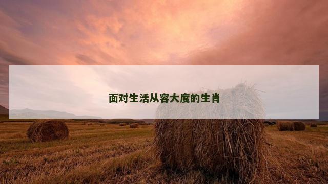 面对生活从容大度的生肖