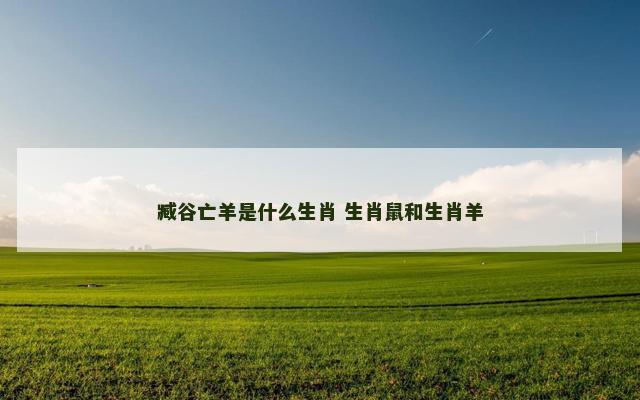 臧谷亡羊是什么生肖 生肖鼠和生肖羊
