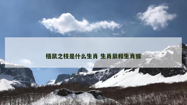梧鼠之枝是什么生肖 生肖鼠和生肖猴