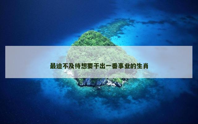最迫不及待想要干出一番事业的生肖