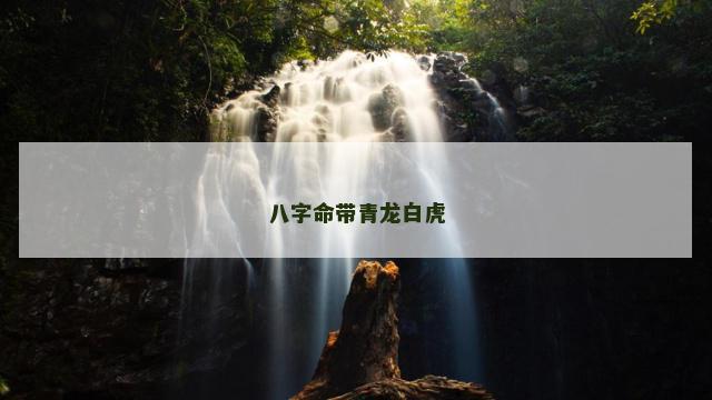 八字命带青龙白虎