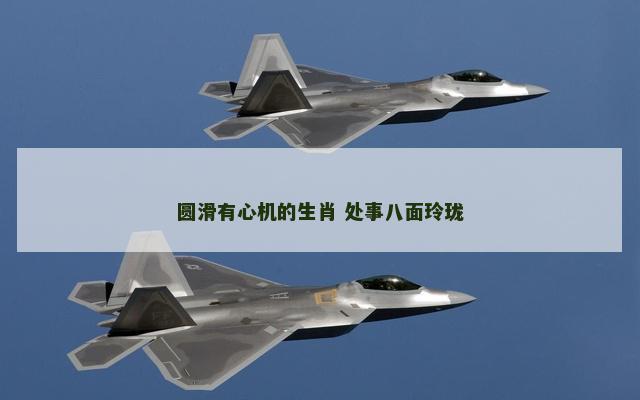 圆滑有心机的生肖 处事八面玲珑