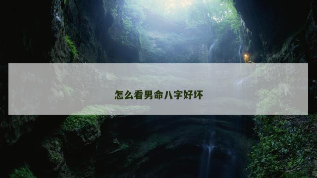 怎么看男命八字好坏