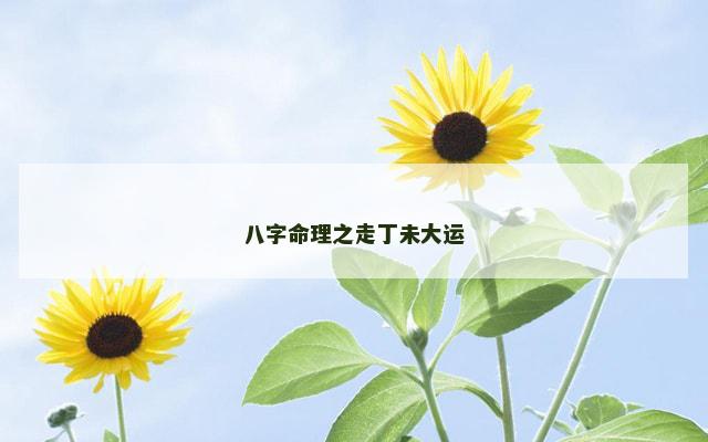 八字命理之走丁未大运