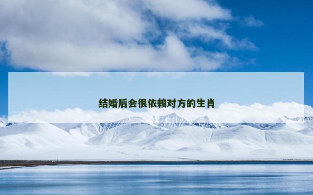 结婚后会很依赖对方的生肖