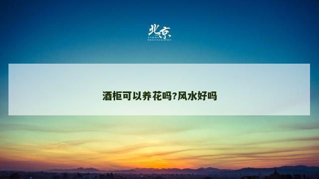 酒柜可以养花吗?风水好吗