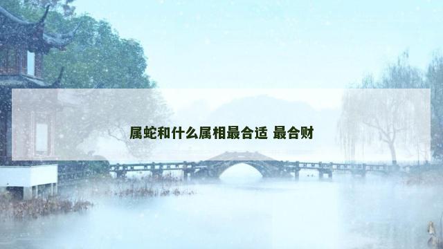 属蛇和什么属相最合适 最合财
