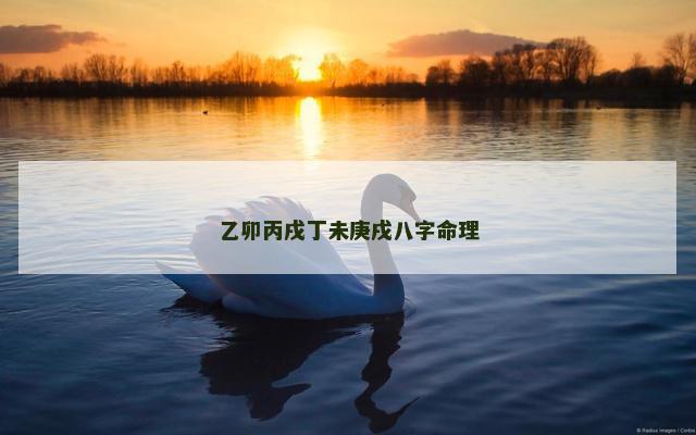 乙卯丙戌丁未庚戌八字命理