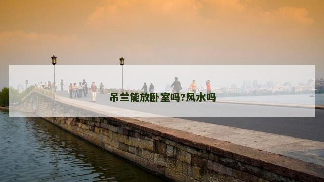 吊兰能放卧室吗?风水吗