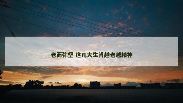 老而弥坚 这几大生肖越老越精神
