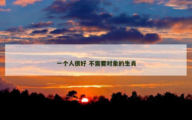 一个人很好 不需要对象的生肖