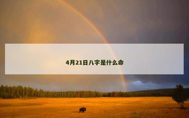 4月21日八字是什么命
