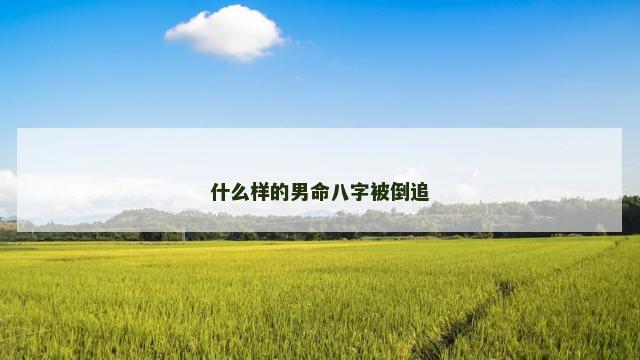 什么样的男命八字被倒追