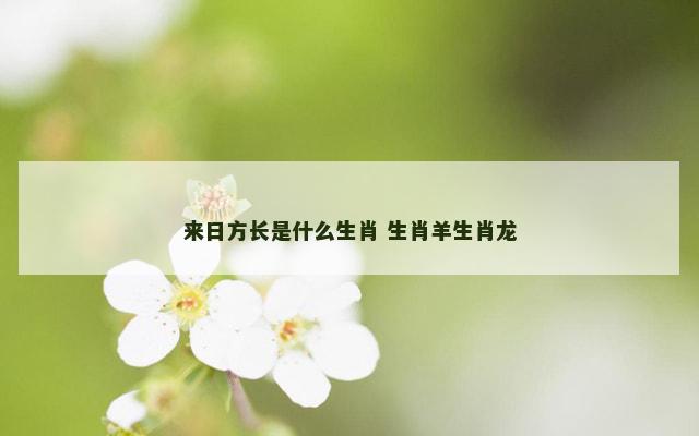 来日方长是什么生肖 生肖羊生肖龙