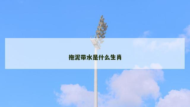拖泥带水是什么生肖