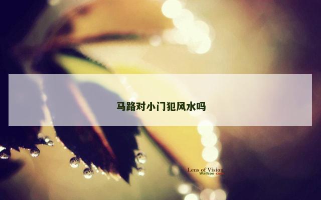 马路对小门犯风水吗