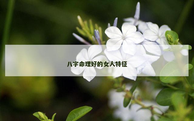 八字命理好的女人特征