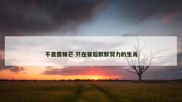 不显露锋芒 只在背后默默努力的生肖