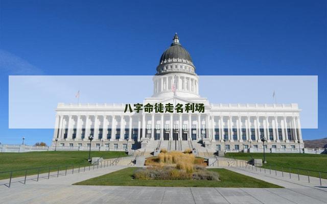 八字命徒走名利场