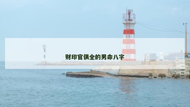 财印官俱全的男命八字