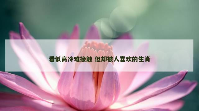 看似高冷难接触 但却被人喜欢的生肖