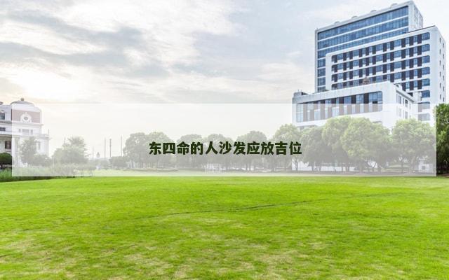 东四命的人沙发应放吉位