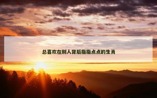 总喜欢在别人背后指指点点的生肖
