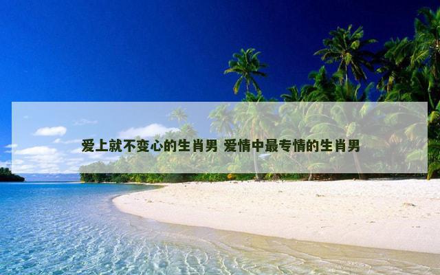 爱上就不变心的生肖男 爱情中最专情的生肖男