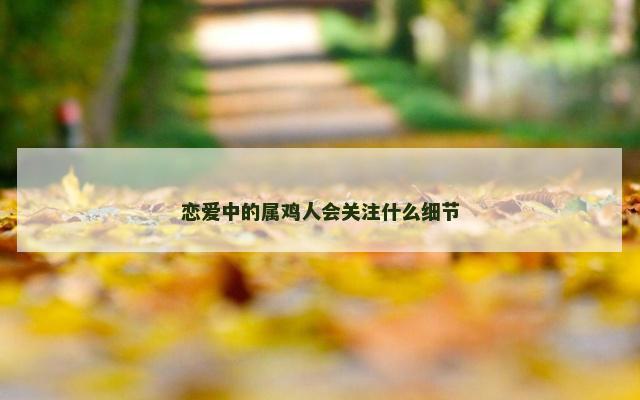 恋爱中的属鸡人会关注什么细节