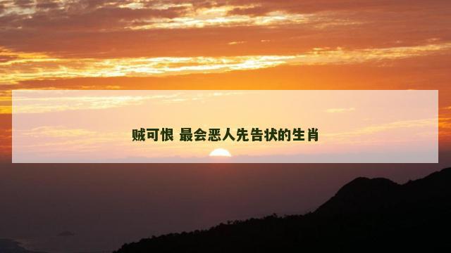 贼可恨 最会恶人先告状的生肖