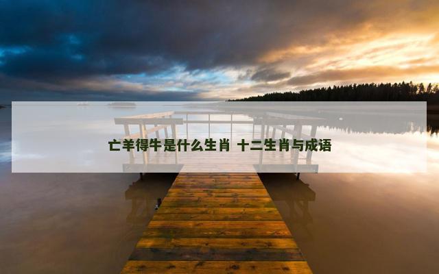 亡羊得牛是什么生肖 十二生肖与成语