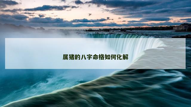 属猪的八字命格如何化解