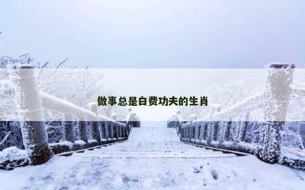 做事总是白费功夫的生肖