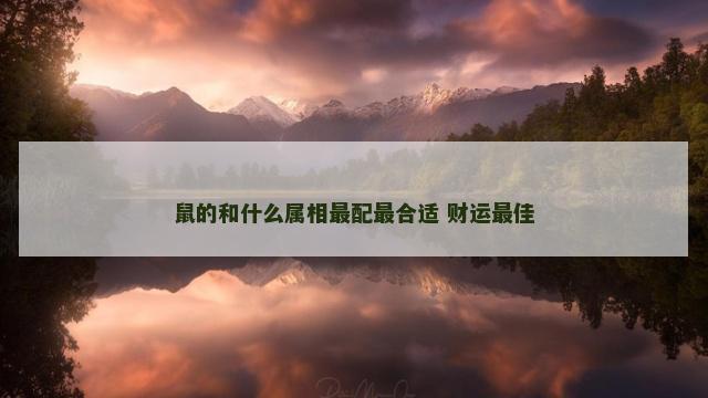 鼠的和什么属相最配最合适 财运最佳