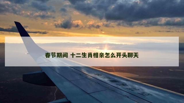 春节期间 十二生肖相亲怎么开头聊天