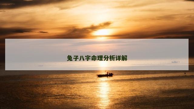 兔子八字命理分析详解