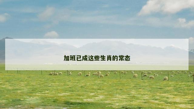 加班已成这些生肖的常态
