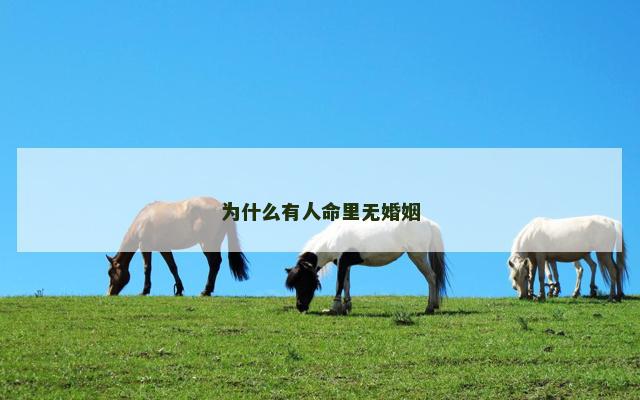 为什么有人命里无婚姻