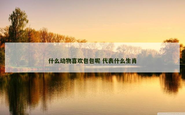 什么动物喜欢包包呢 代表什么生肖