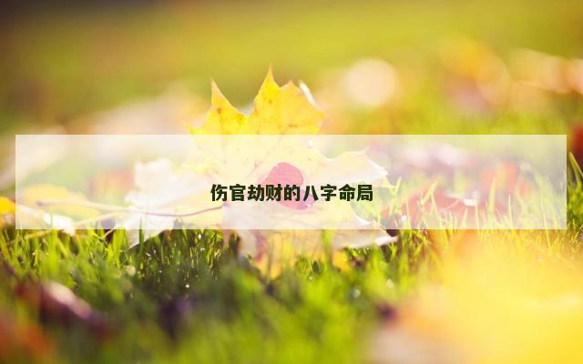 伤官劫财的八字命局