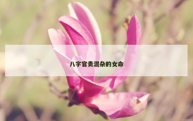 八字官贵混杂的女命