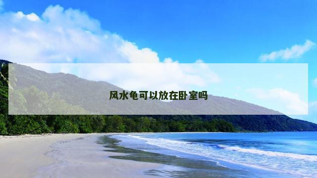 风水龟可以放在卧室吗