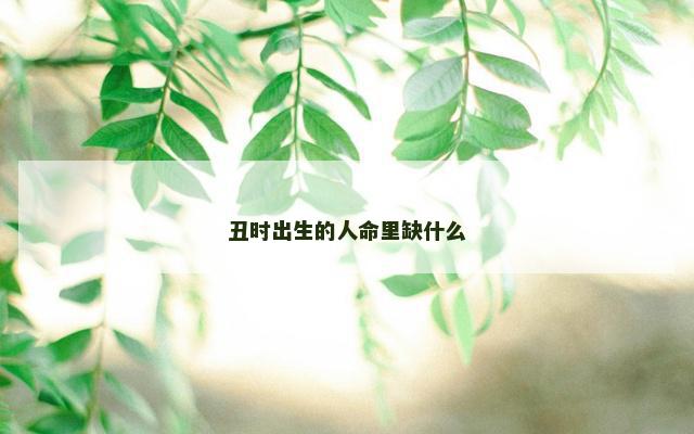 丑时出生的人命里缺什么