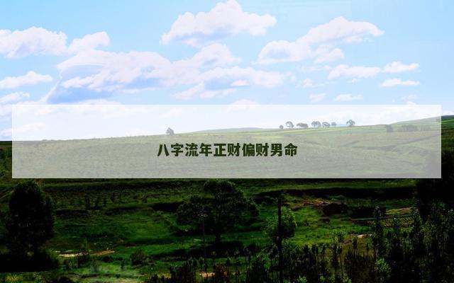八字流年正财偏财男命