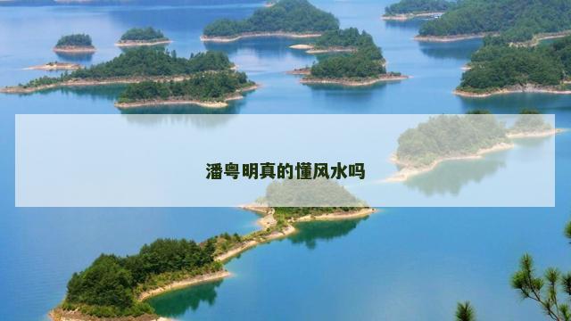 潘粤明真的懂风水吗