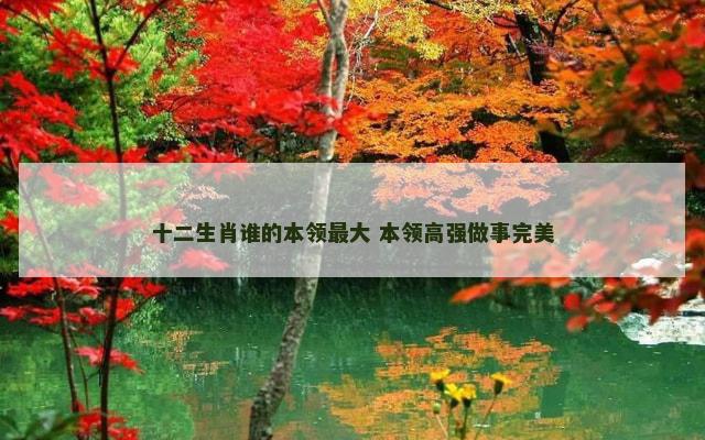 十二生肖谁的本领最大 本领高强做事完美
