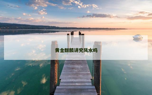 黄金麒麟讲究风水吗