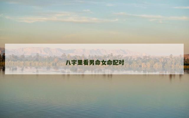 八字里看男命女命配对